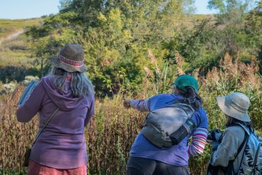 Bergen County Audubon Society (BCAS) Birding Festival