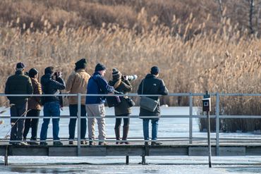 Bergen County Audubon Society (BCAS) EVent - Photo by James Falletti