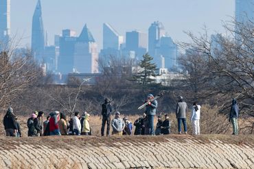 Bergen County Audubon Society (BCAS) Birding Festival