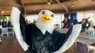 Bergen County Audubon Society (BCAS) Birding Festival