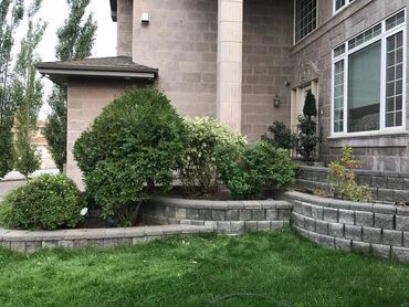 Residential Landscape