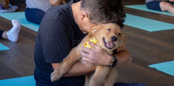 A man hugs a happy golden retriever puppy during a yoga class.