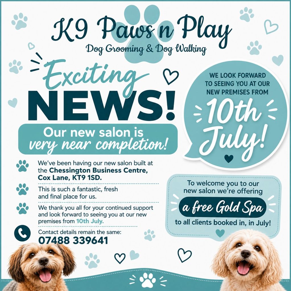 Exciting final stop for k9 paws n play