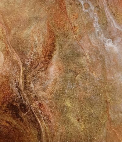 Close-up of a textured, marbled surface with earthy tones.