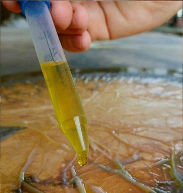 Application of sulphurated potash (liver of sulphur) on brass/Dutch metal leaf