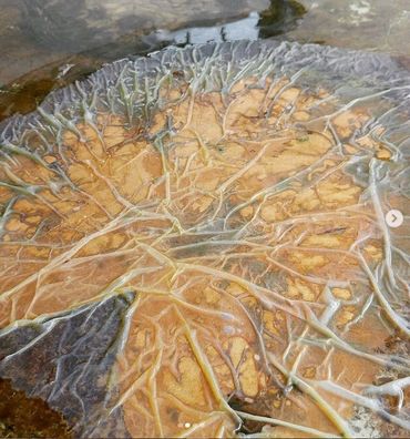 Sulphurated potash (liver of sulphur) on brass/Dutch metal leaf
