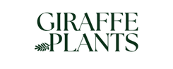 Giraffe Plants