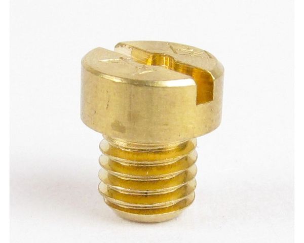 Close-up of a brass slotted screw with threading.