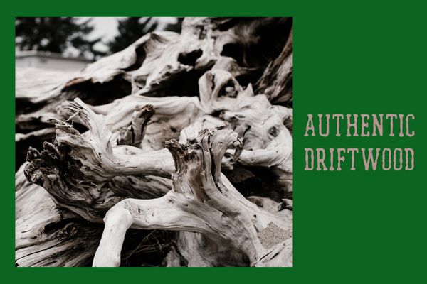 Close-up of authentic driftwood with intricate textures on a dark background.