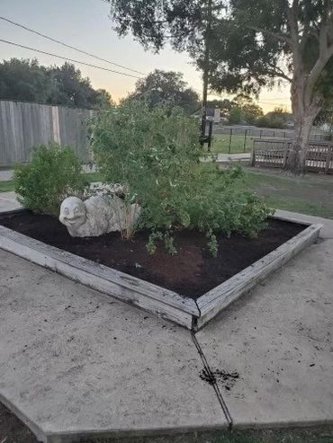 Dulles' Starter Garden as a result of The Suger Creek Garden CLub $500.00 Donation.