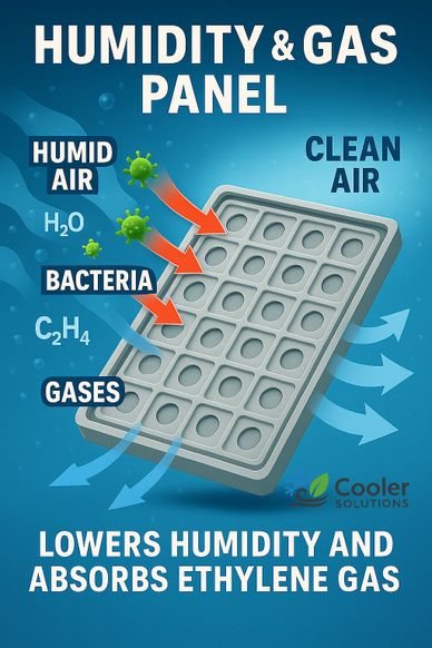 Humidity and gas panel lowers humidity and absorbs ethylene gas for cleaner air.