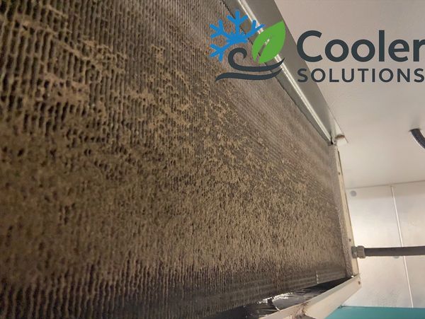 Close-up of a dirty air conditioner evaporator coil.