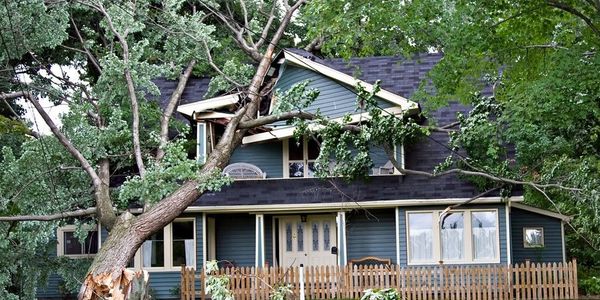 Legendary Solutions, Inc repairs tree damaged homes in Hampton, Yorktown, Poquoson and Newport News
