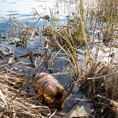 Grey water
waste water
bottle full of urine