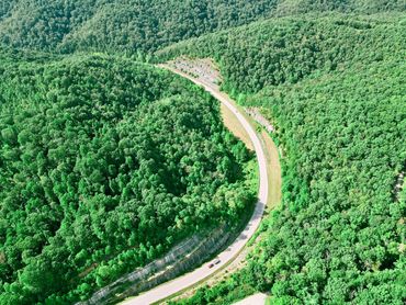 Top of ridges and cuts along Hwy 801 are fossil hunter's paradise.