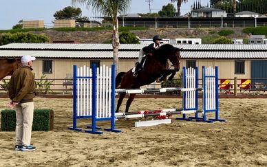 Our two-day clinic with Joe Fargis focused on balance, rhythm, and pace.  Each group navigated a gym