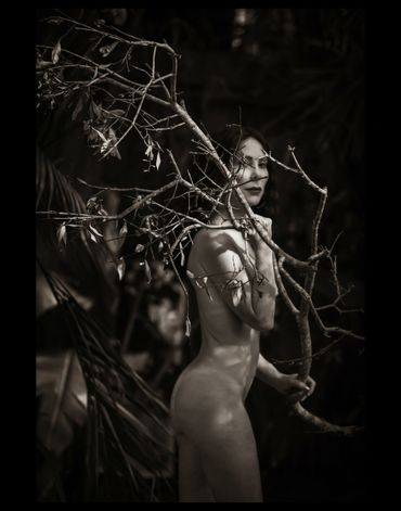 Nude woman walking with a giant tree branch.