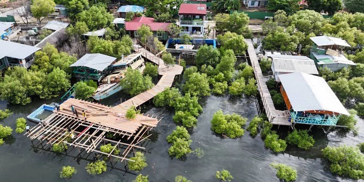 Aerial view of houses on stilts among mangroves.