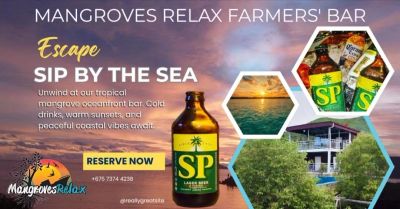Advertisement for Mangroves Relax Farmers' Bar with a tropical theme and beer.