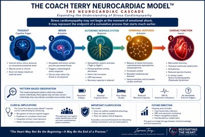 Infographic explaining the Coach Terry Neurocardiac Model and stress neurocardiac cascade.