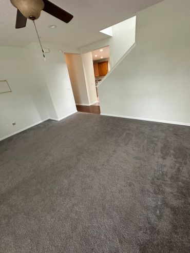 Before picture of outdated carpet in living area.