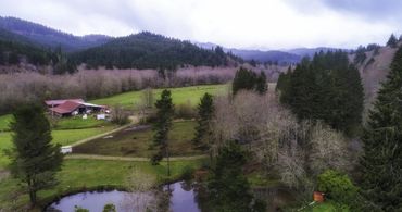 Beautiful view of a particular area