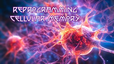 Jothi Ramesh, Psychic, Intuitive Life Coach, Tarot Reader, Money Coach - Roadmap for 3 Month Program