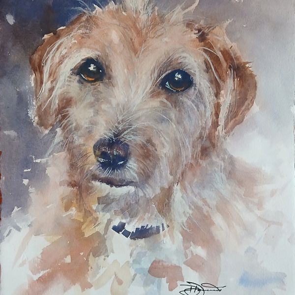 Watercolor portrait of a dog with soulful eyes.