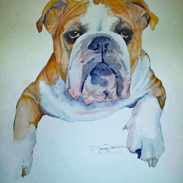 Watercolor painting of a resting bulldog.