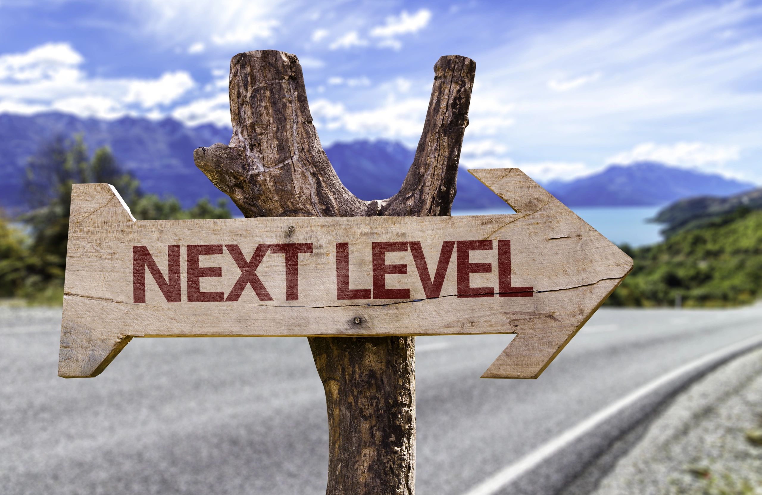 wooden arrow with "next level" carved into it