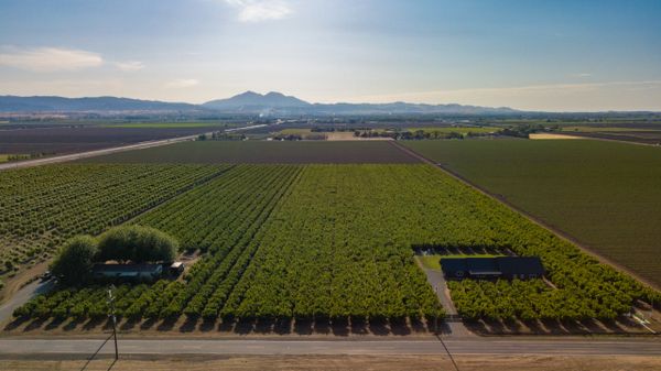 Aerial Drone view of our farm and the City of Brentwood Mount Diablo