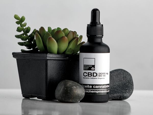aceites de cbd de organic hemp mexico con piedras de rio y planta