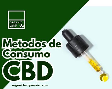 metodos de consumo de cbd