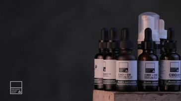CBD en México soluciones para tu negocio