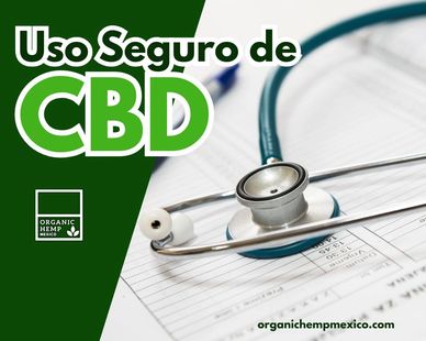 uso seguro de cbd en mexico