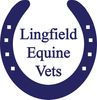 Lingfield Equine Vets logo - Sponsor of South of England Horse Trials