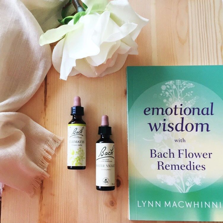 Bach practitioner, consultation, bach flower remedies, Dr Bach, flower essences, emotional healing 