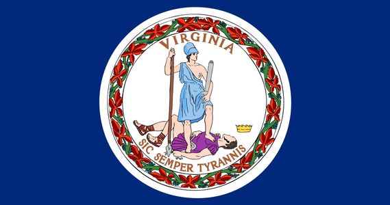 Virginia state flag to represent that we are local, and we are with the state board for contractors.