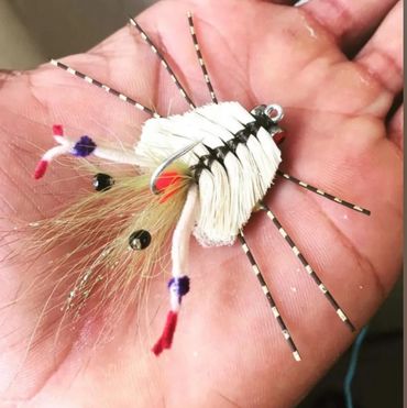 Hand holding a detailed fishing lure designed to resemble an insect.
