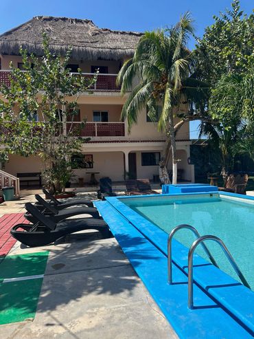 Sunny poolside with lounge chairs and tropical trees near a thatched-roof building.