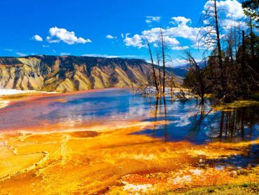 Mammoth Hot Springs