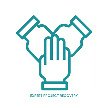 expert project recovery icon