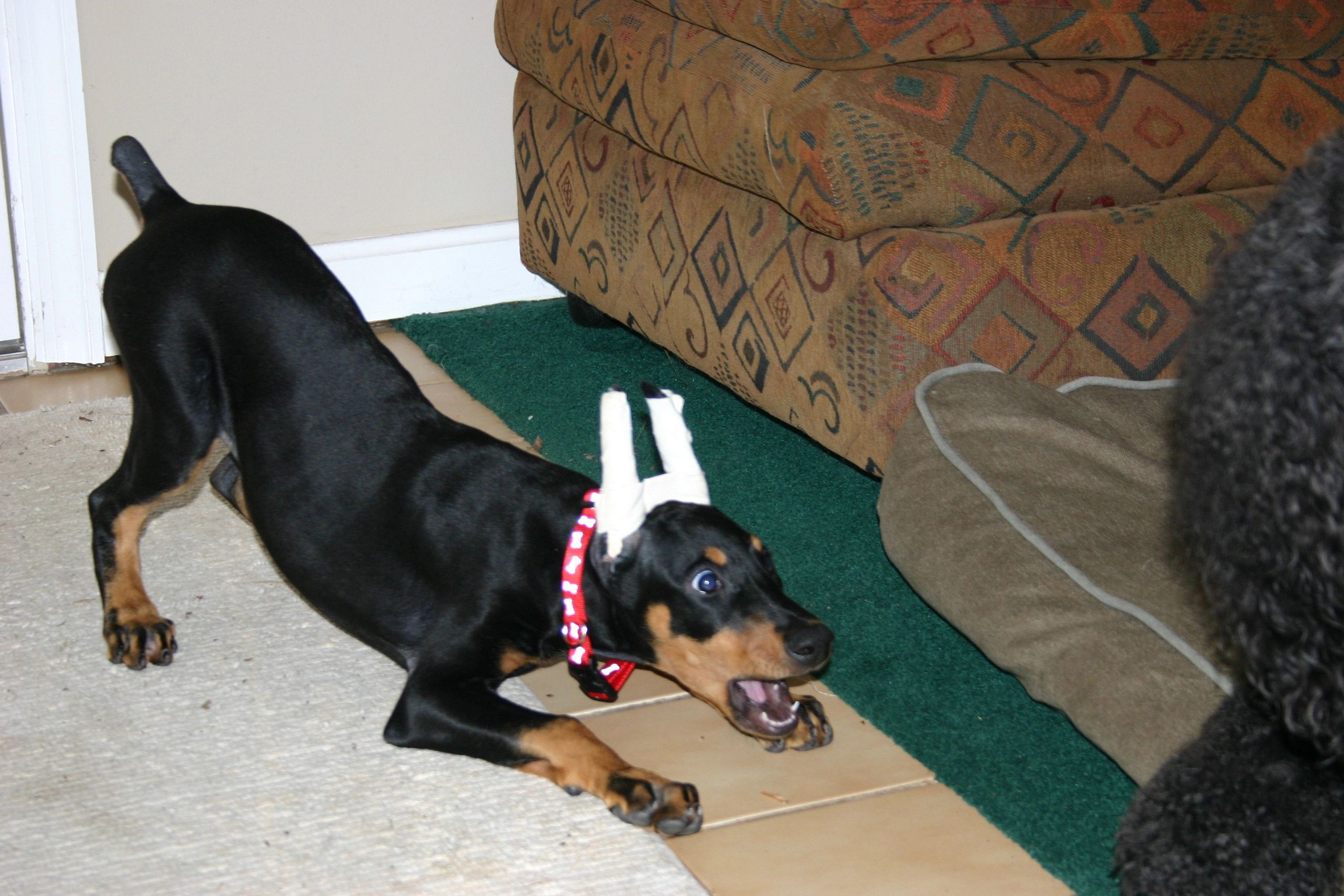 Silhouette’s All About Money
“Merlot”