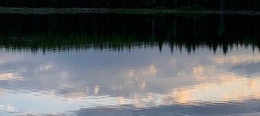 Serene lakeside sunset with tree reflection.