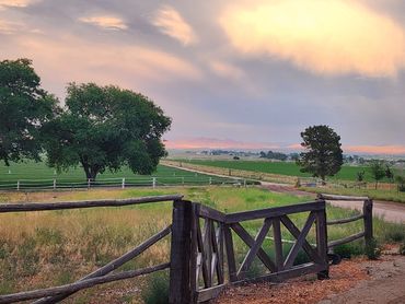 A beautiful day at the ranch.