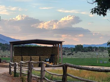 One Haybarn houses part of our 1400 tons of hay a year.