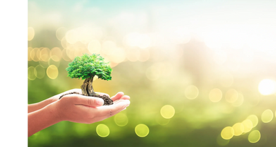 Children planting trees for a sustainable future.