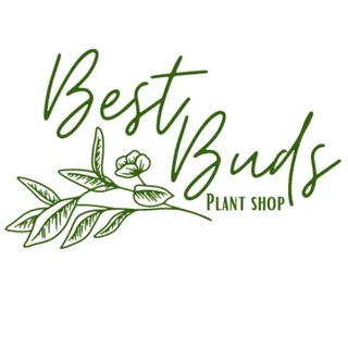 Best Buds Plant Shop
