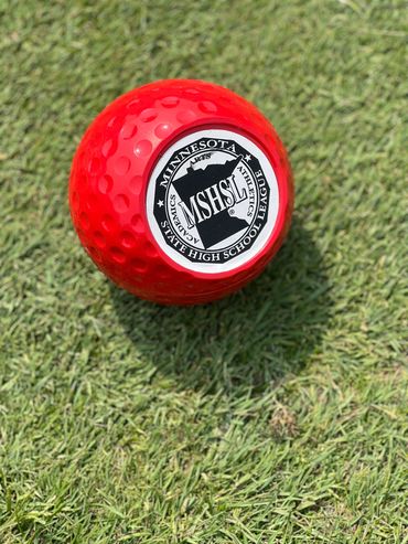 Minnesota State High School Golf Tournament