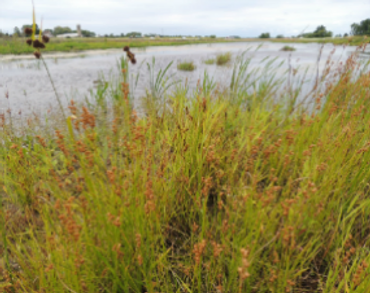 Eco-Resource Consulting, Inc